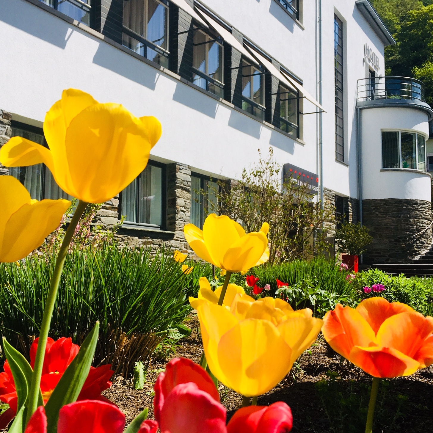 Ostern im Rheingau & Wiesbaden